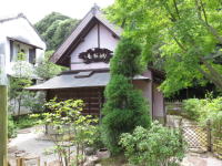 茶室で楽しむ秋のひととき