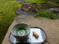 雨の日はしっとりお抹茶日和