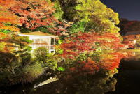 長府庭園11月の催し