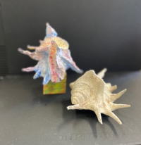 貝のオブジェ作り